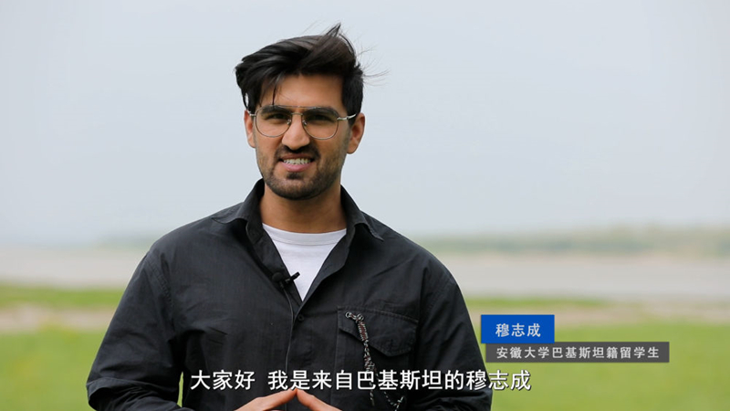 新华社:外国人看中国基建——输电利器