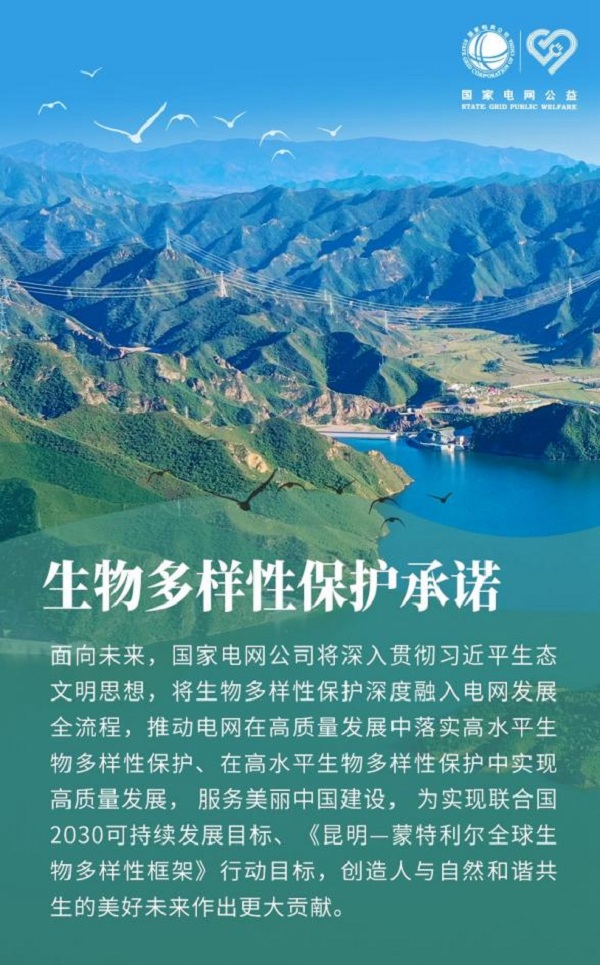 çç©å¤æ&nbsp;·æ§ä¿æ¤  å½å®¶çµç½å¨è¡å¨